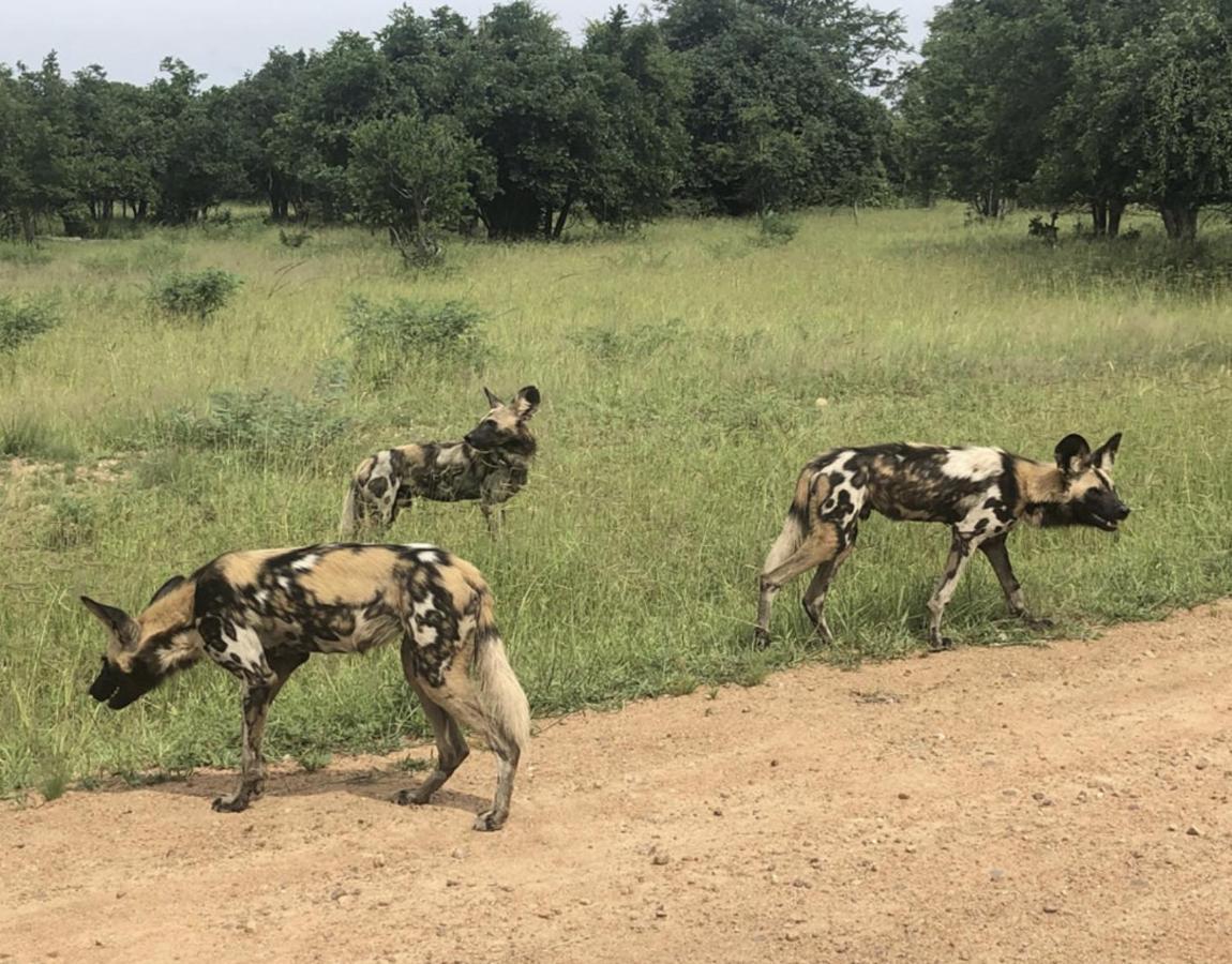 Marula Lodge Mfuwe Bagian luar foto